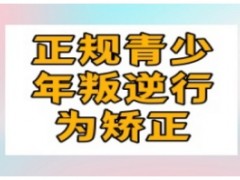 一览六安正规的青少年叛逆戒网瘾封闭特训基地排名3大发布