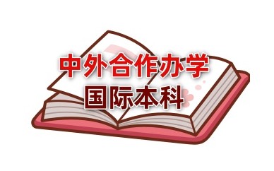 国内中外合作办学4+0辅导机构实力名单一览